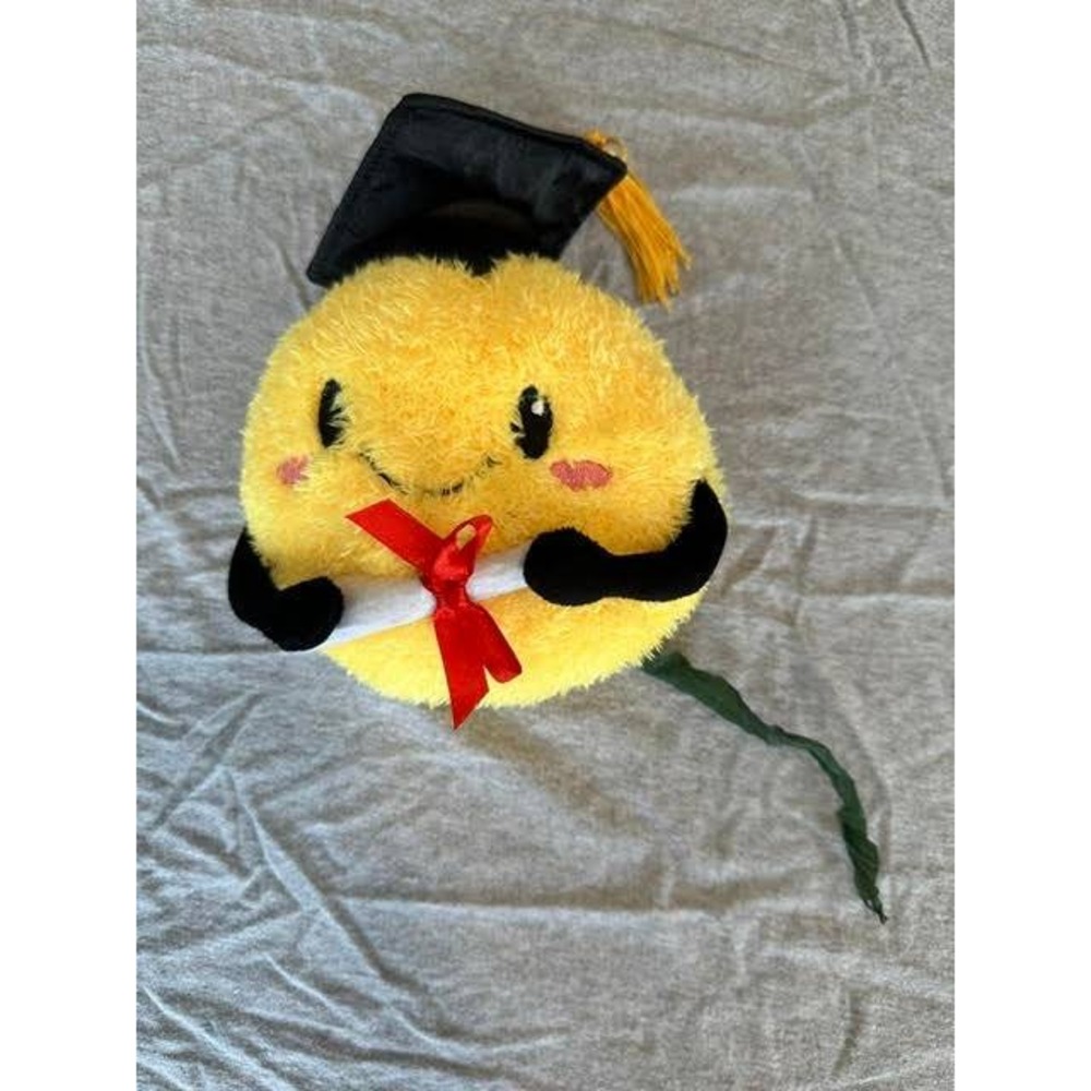 Graduation Smiley Face Plush Yellow Emoji Good Job Little One Diploma Toy